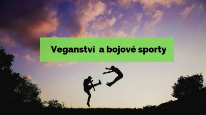 bojove_sporty